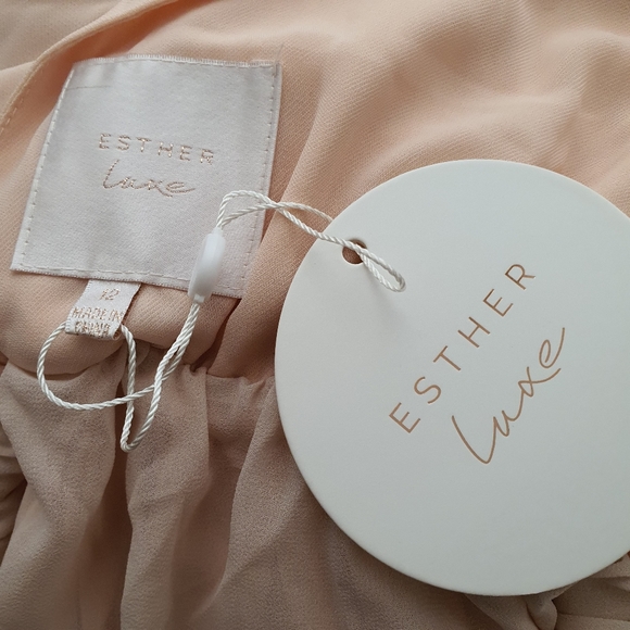 NWT Esther & Co Blush V Neck Evening Maxi Dress Size 12 - Picture 4 of 8